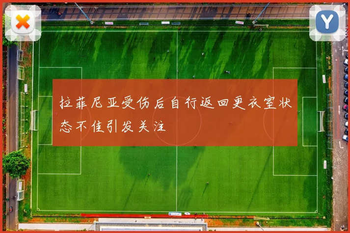 拉菲尼亚受伤后自行返回更衣室状态不佳引发关注