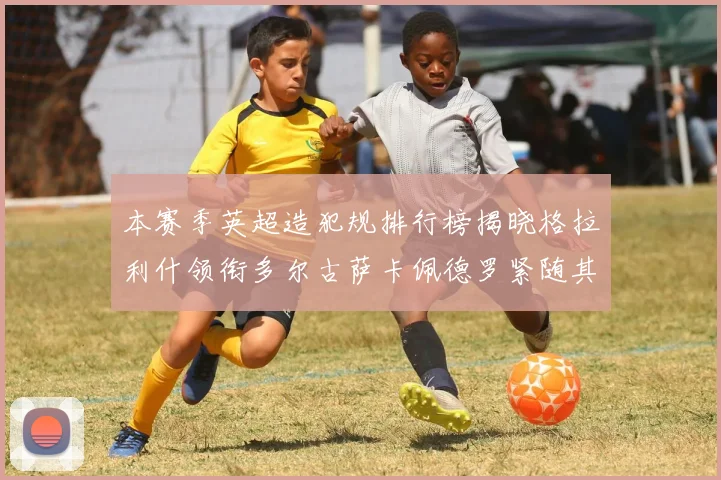 本赛季英超造犯规排行榜揭晓格拉利什领衔多尔古萨卡佩德罗紧随其后